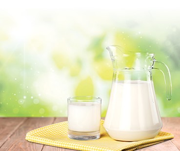 2022年世界牛奶日·全國乳品營養(yǎng)周專稿——探尋牛奶的世界